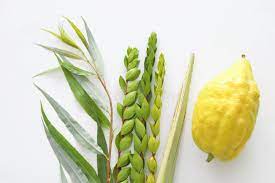 Sukkot